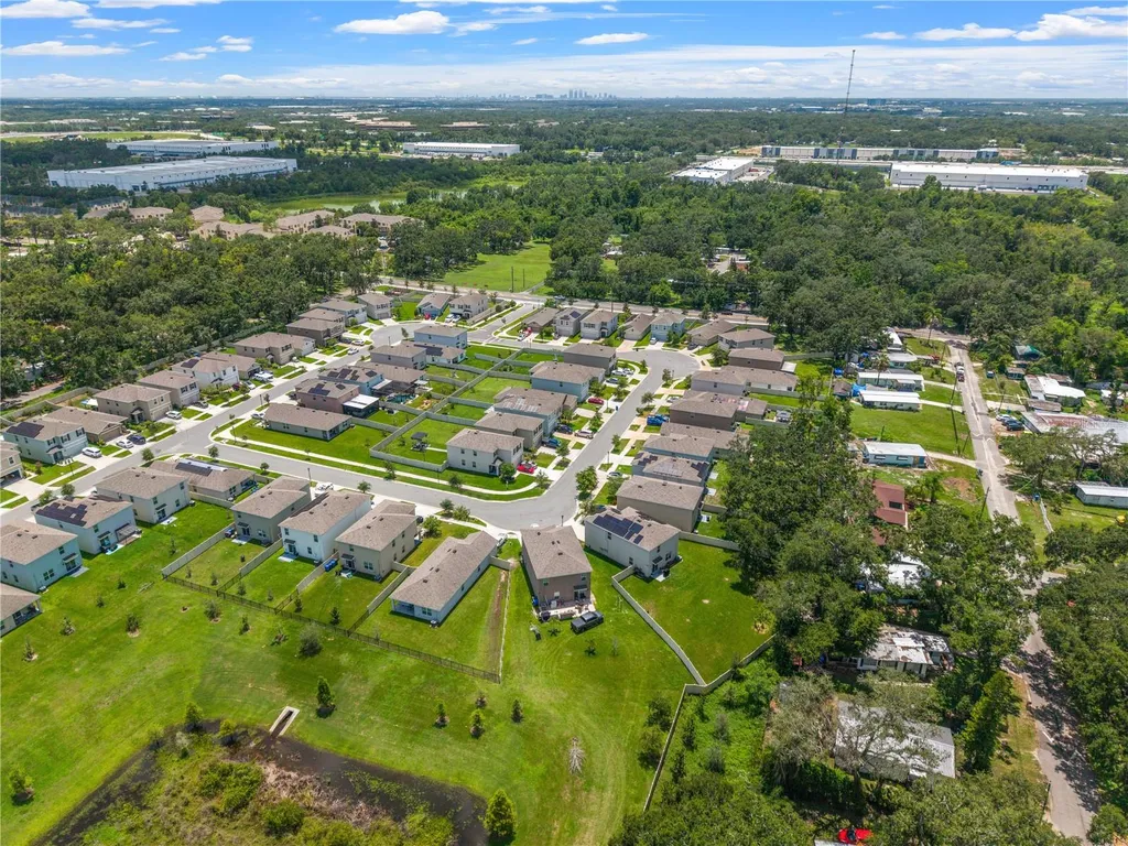 10823 Trailing Vine Drive Tampa FL 33610