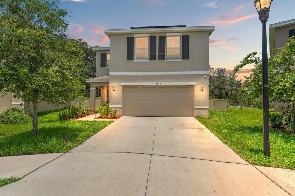 10823 Trailing Vine Drive Tampa FL 33610
