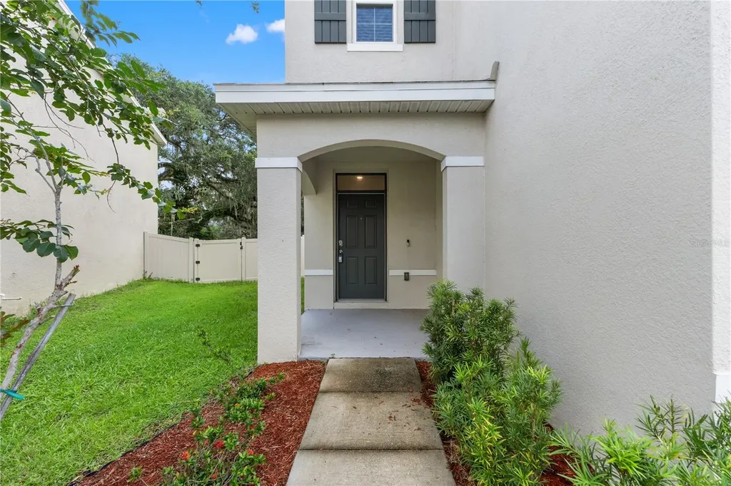10823 Trailing Vine Drive Tampa FL 33610