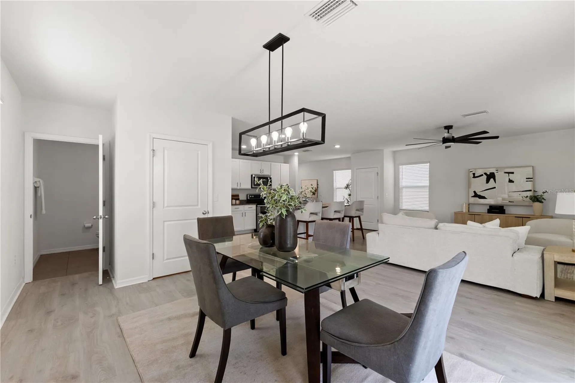 10823 Trailing Vine Drive Tampa FL 33610