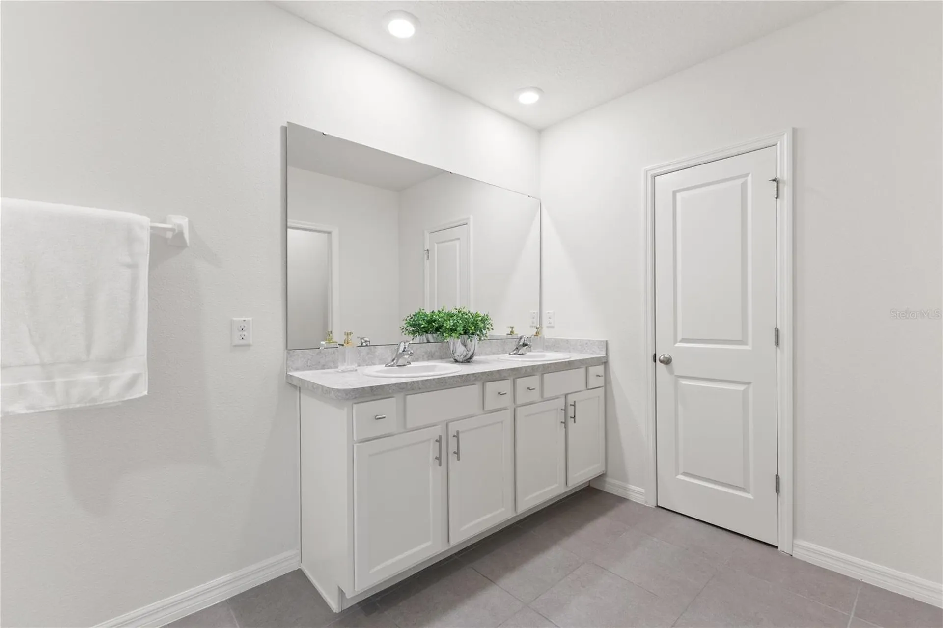 10823 Trailing Vine Drive Tampa FL 33610