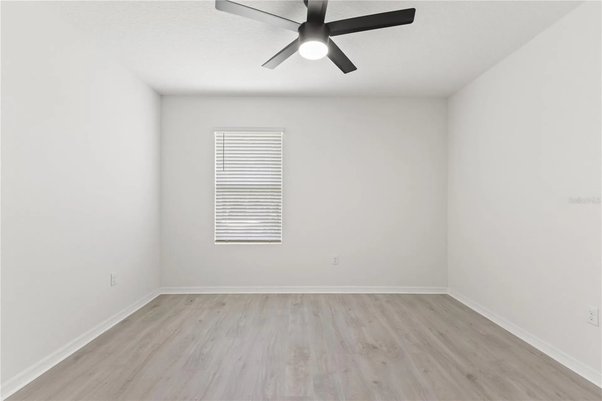 10823 Trailing Vine Drive Tampa FL 33610