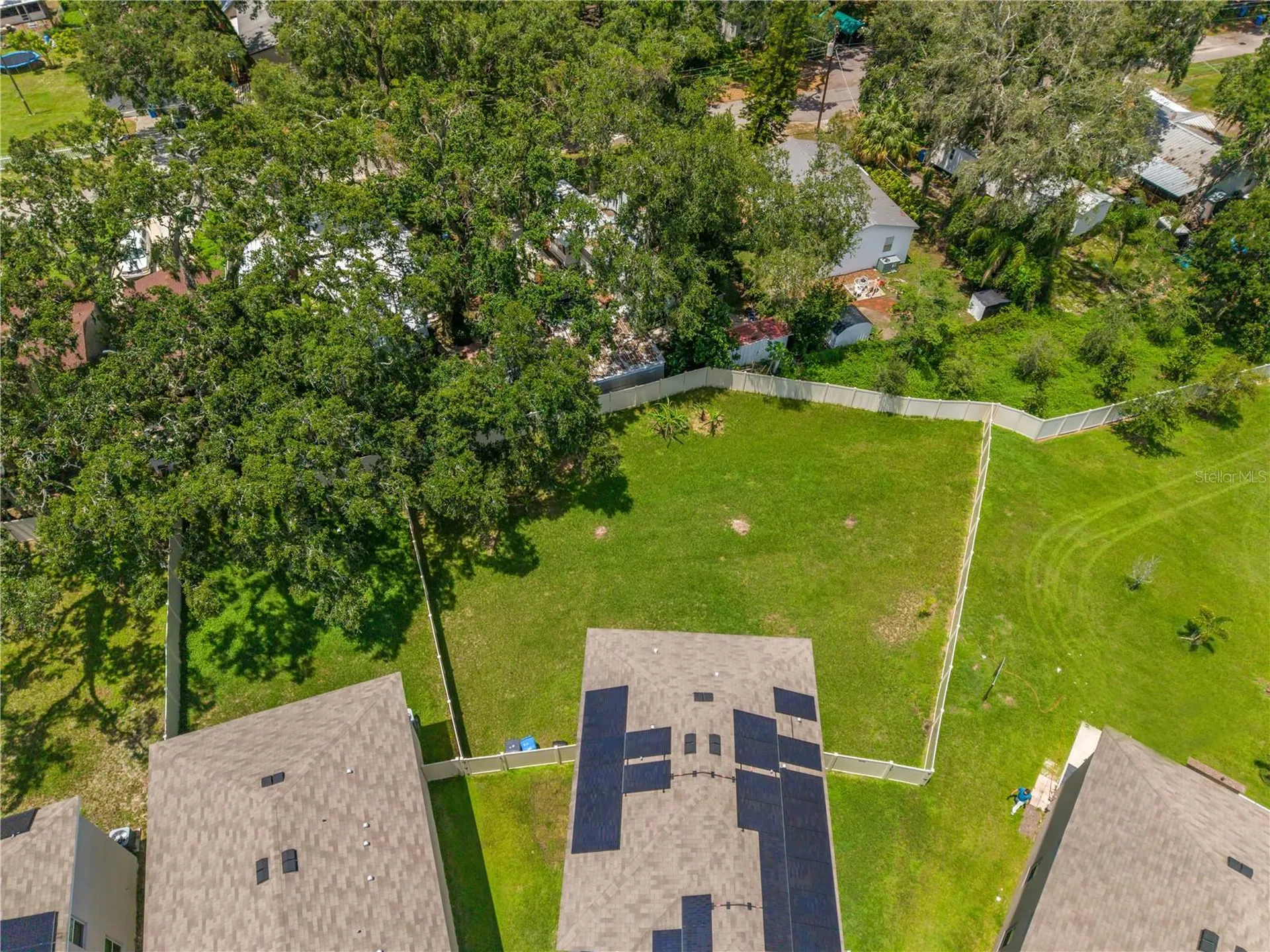 10823 Trailing Vine Drive Tampa FL 33610