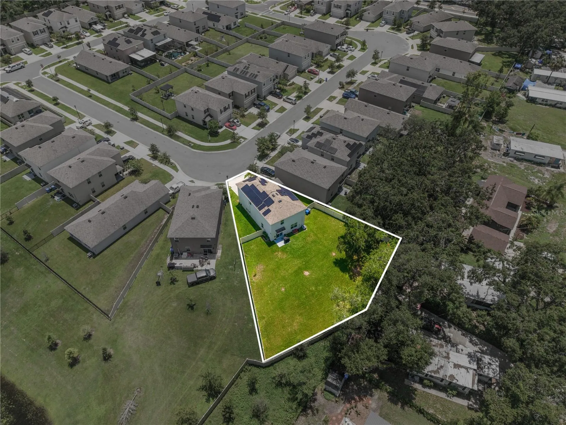 10823 Trailing Vine Drive Tampa FL 33610