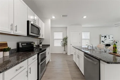 10823 Trailing Vine Drive Tampa FL 33610