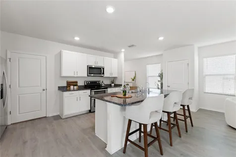 10823 Trailing Vine Drive Tampa FL 33610