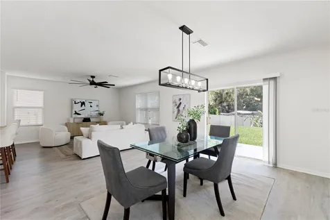 10823 Trailing Vine Drive Tampa FL 33610