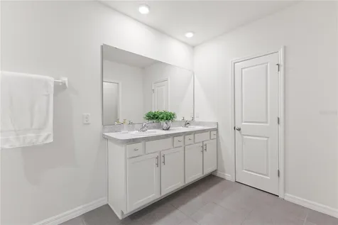 10823 Trailing Vine Drive Tampa FL 33610