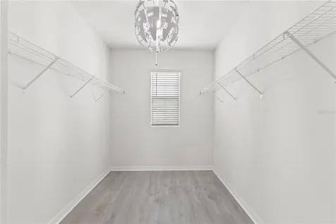 10823 Trailing Vine Drive Tampa FL 33610
