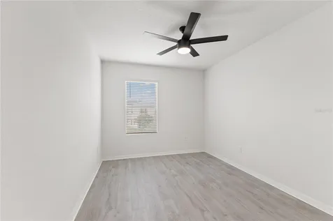 10823 Trailing Vine Drive Tampa FL 33610