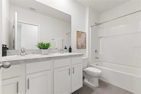 10823 Trailing Vine Drive Tampa FL 33610