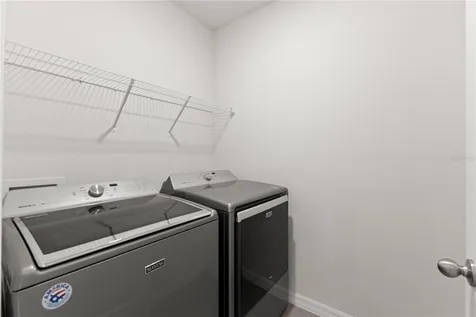 10823 Trailing Vine Drive Tampa FL 33610