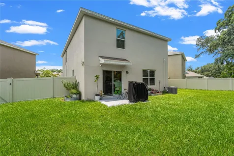 10823 Trailing Vine Drive Tampa FL 33610
