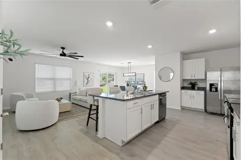 10823 Trailing Vine Drive Tampa FL 33610