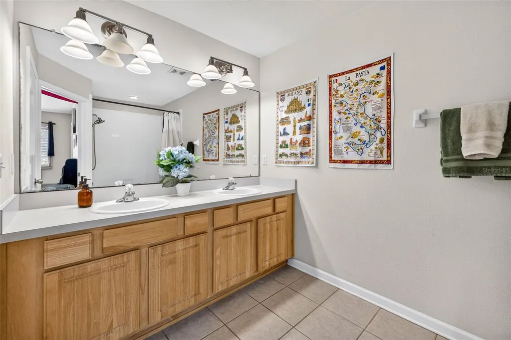 26624 Chimney Spire Lane Wesley Chapel FL 33544