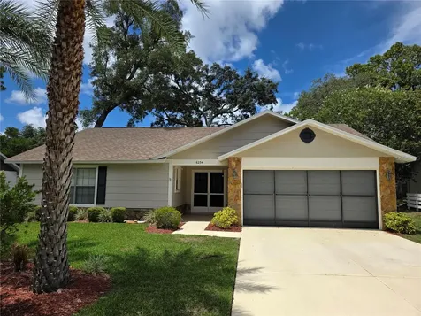 6234 Glen Eagles Court Spring Hill FL 34606