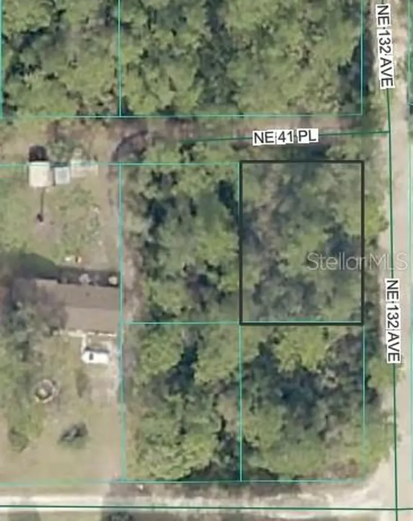 NE 41st Place Silver Springs FL 34488