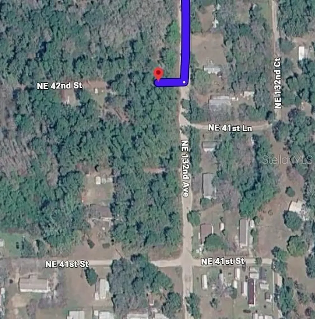 NE 41st Place Silver Springs FL 34488