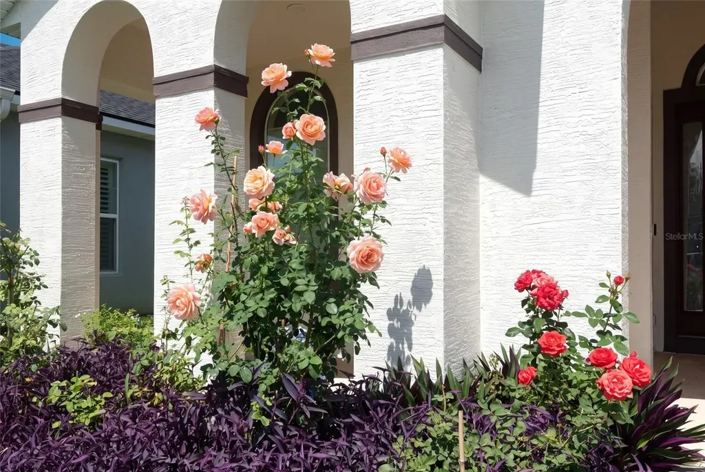 6211 W Fallsgrove Lane Port Orange FL 32128