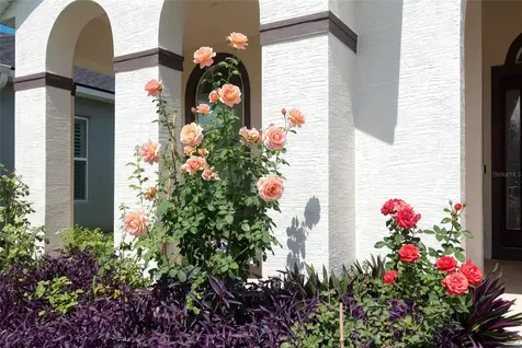6211 W Fallsgrove Lane Port Orange FL 32128