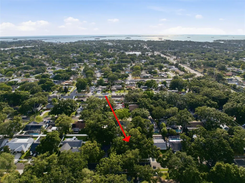 201 Arbor Glen Drive Palm Harbor FL 34683