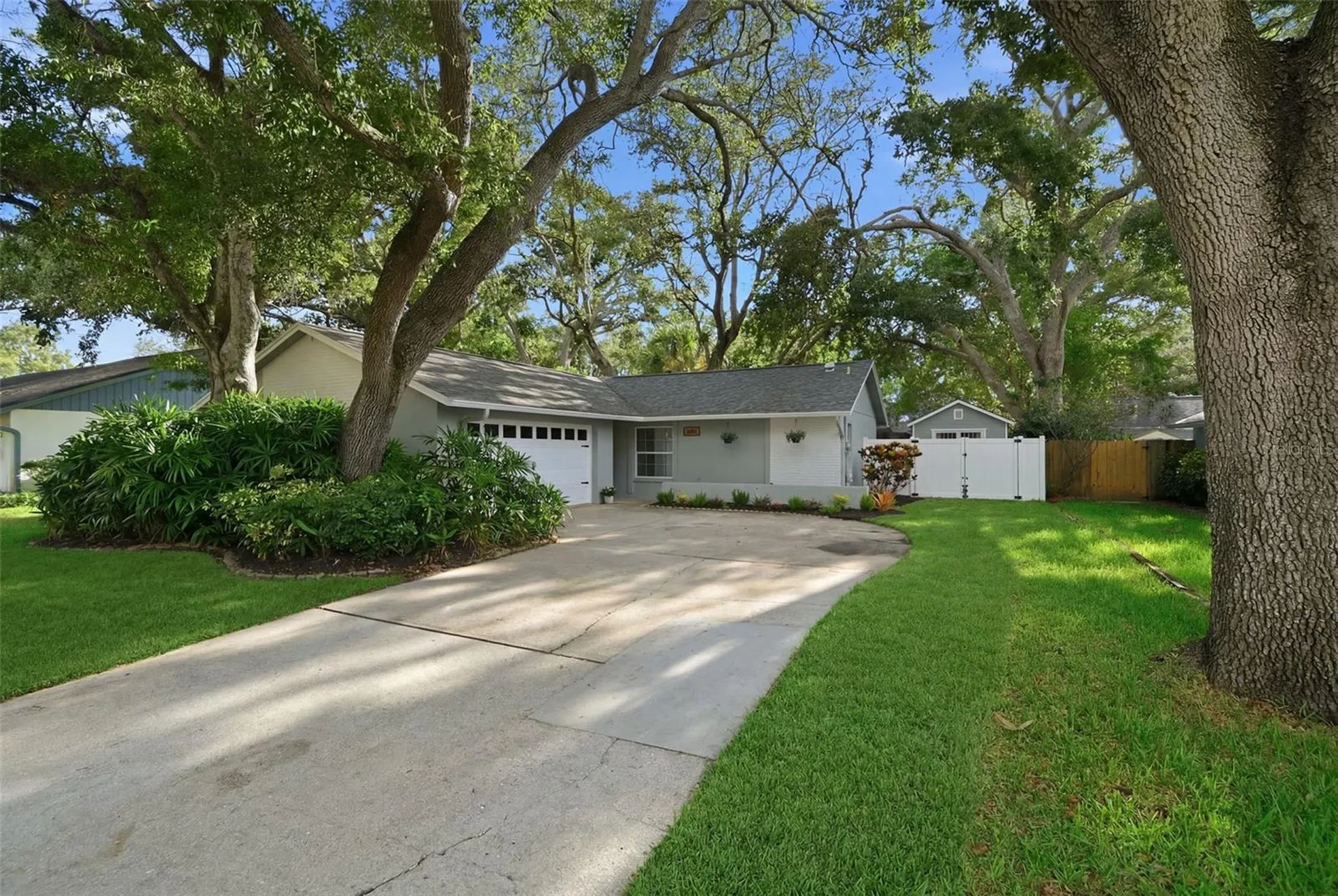 201 Arbor Glen Drive Palm Harbor FL 34683