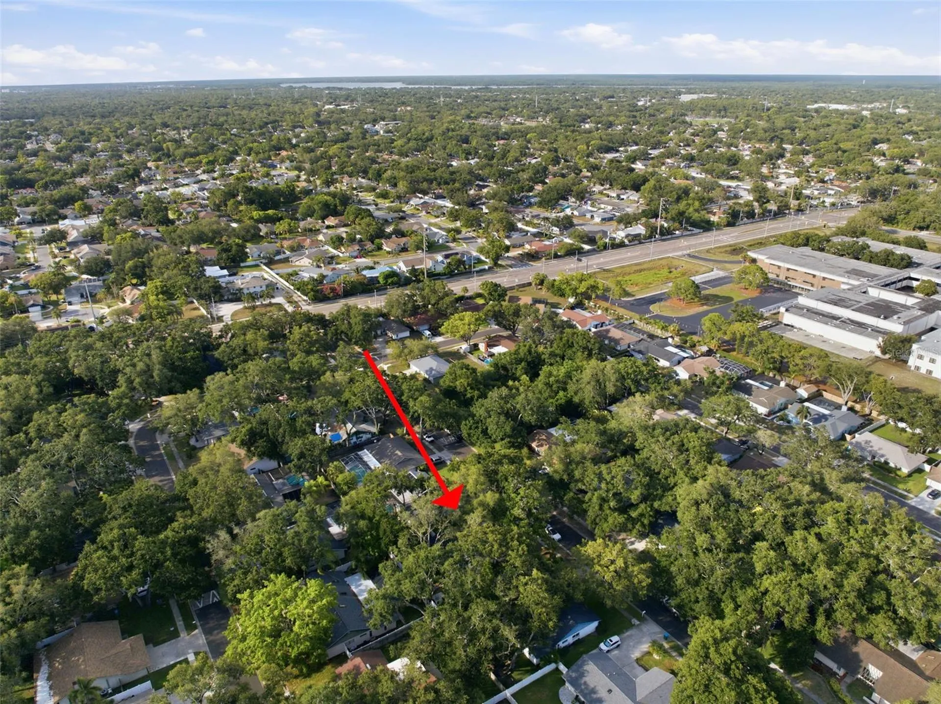 201 Arbor Glen Drive Palm Harbor FL 34683