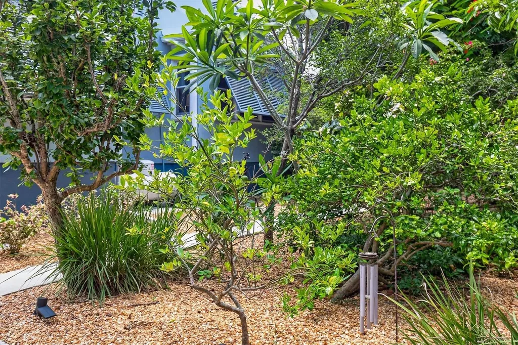 2809 Fleeman Road Palm Harbor FL 34683