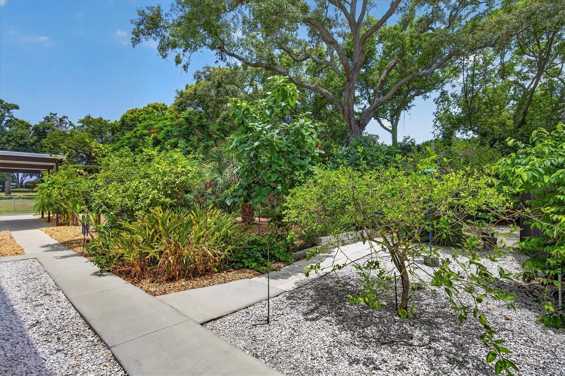 2809 Fleeman Road Palm Harbor FL 34683