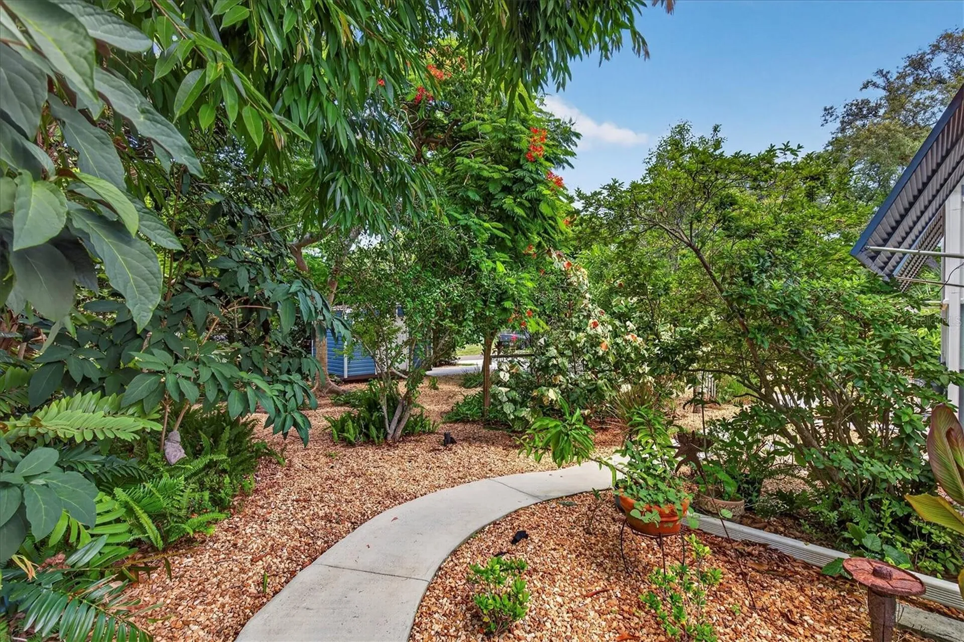 2809 Fleeman Road Palm Harbor FL 34683