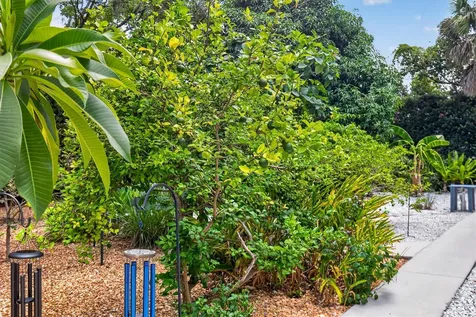 2809 Fleeman Road Palm Harbor FL 34683