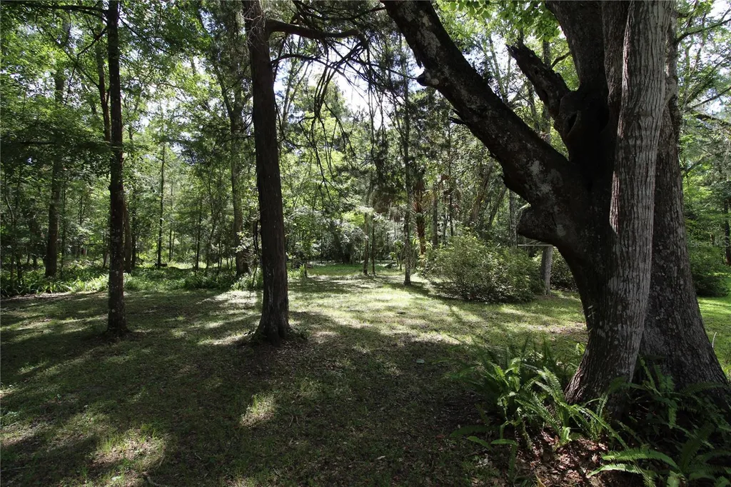12047 Timber Lane Brooksville FL 34601