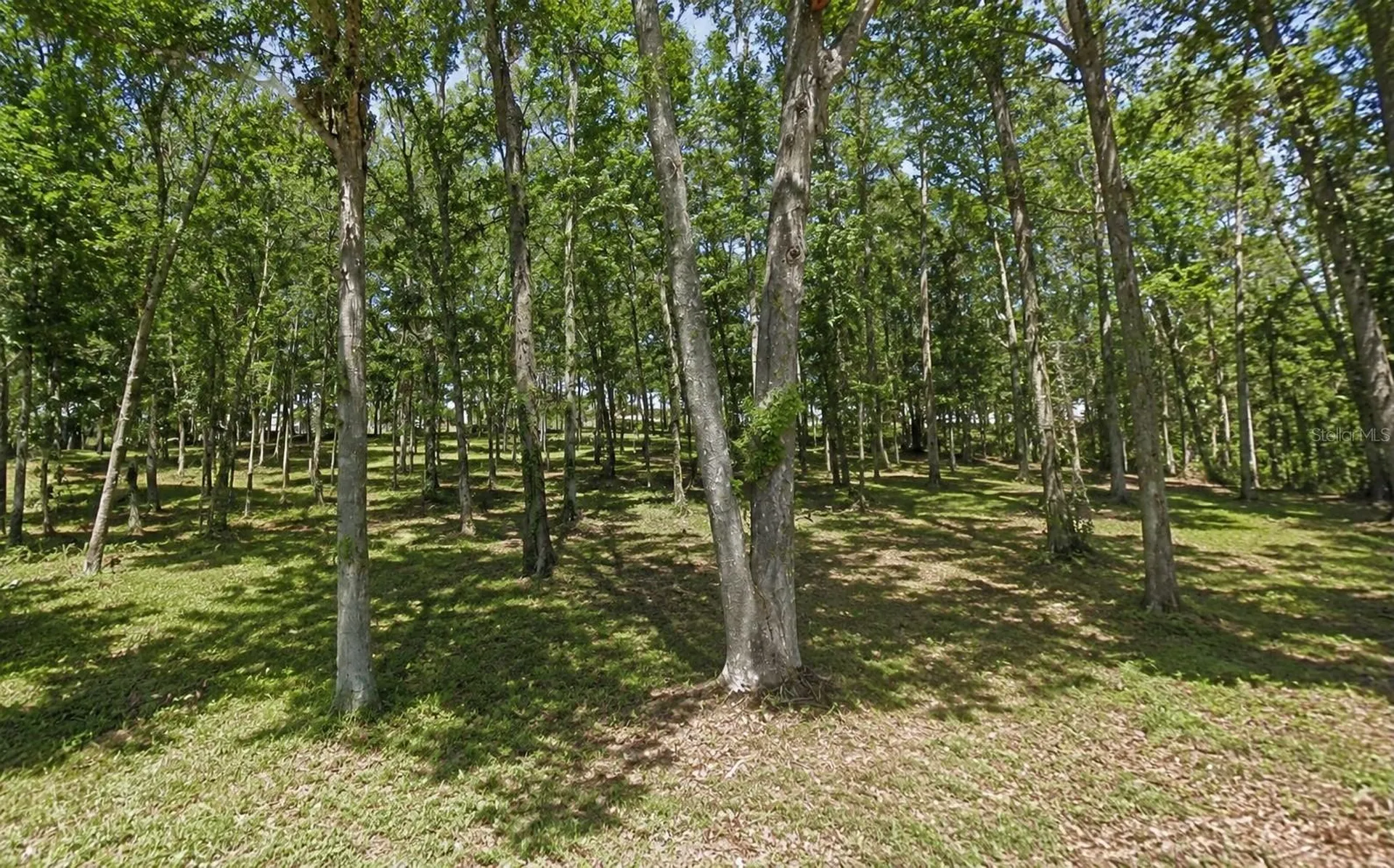 Oakdale Avenue Brooksville FL 34601