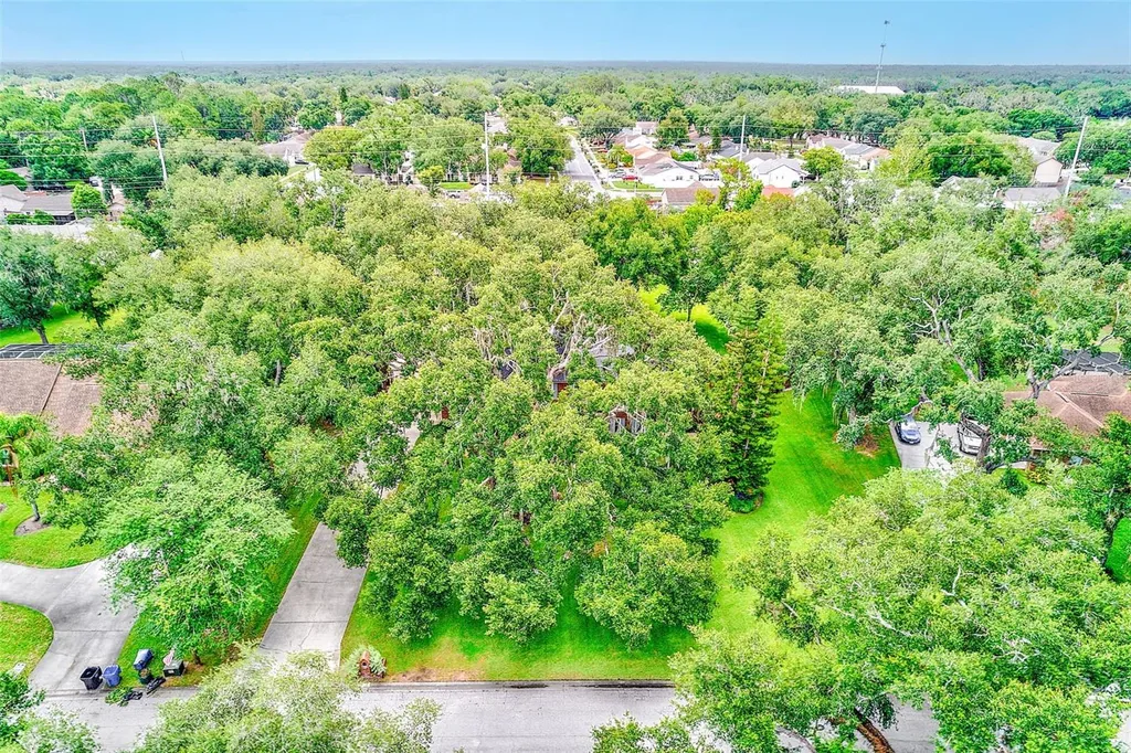 807 Centerbrook Drive Brandon FL 33511