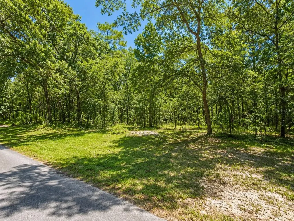 Seagrape Street Homosassa FL 34446