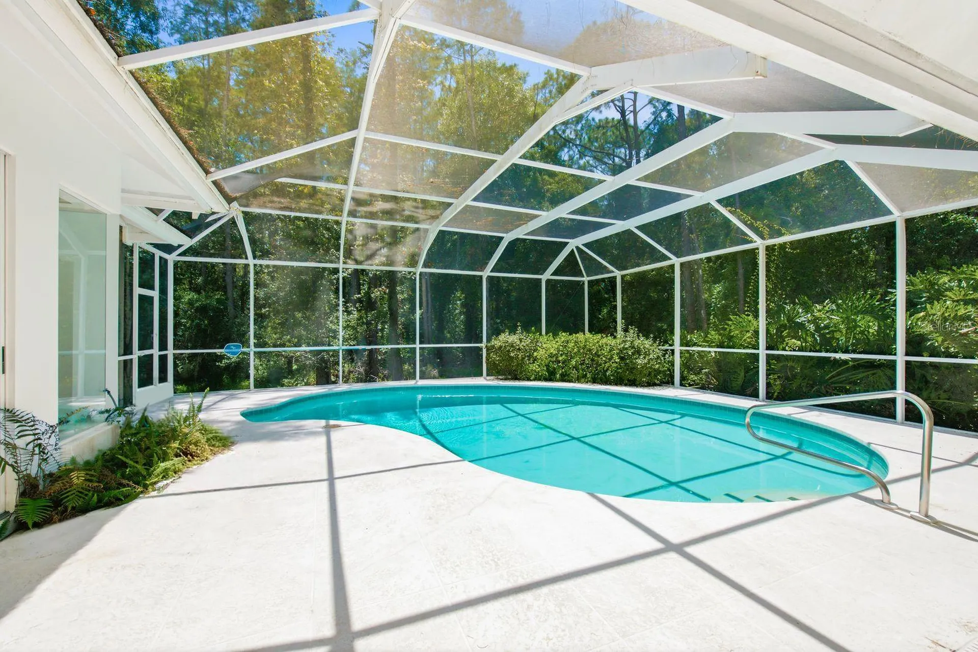 3951 Brightside Lane Palm Harbor FL 34685