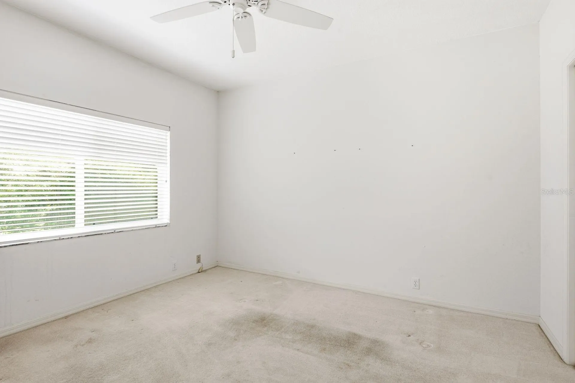 3951 Brightside Lane Palm Harbor FL 34685