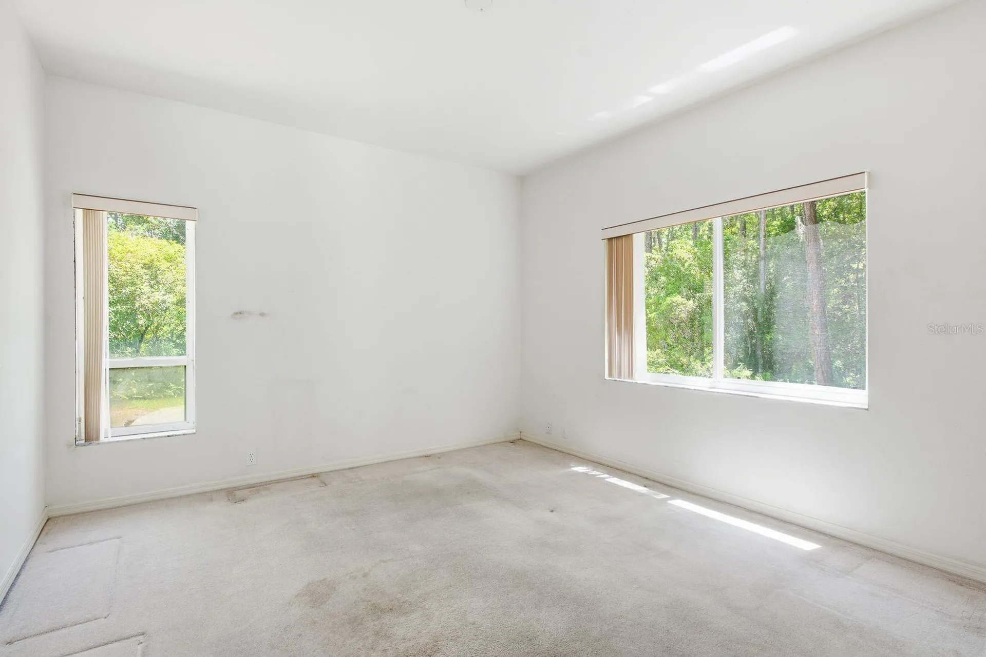3951 Brightside Lane Palm Harbor FL 34685