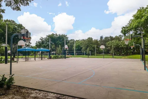 3951 Brightside Lane Palm Harbor FL 34685