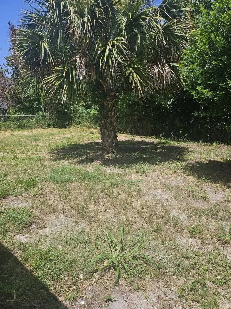 2390 29th Street NW Winter Haven FL 33881