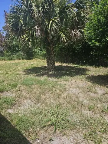 2390 29th Street NW Winter Haven FL 33881