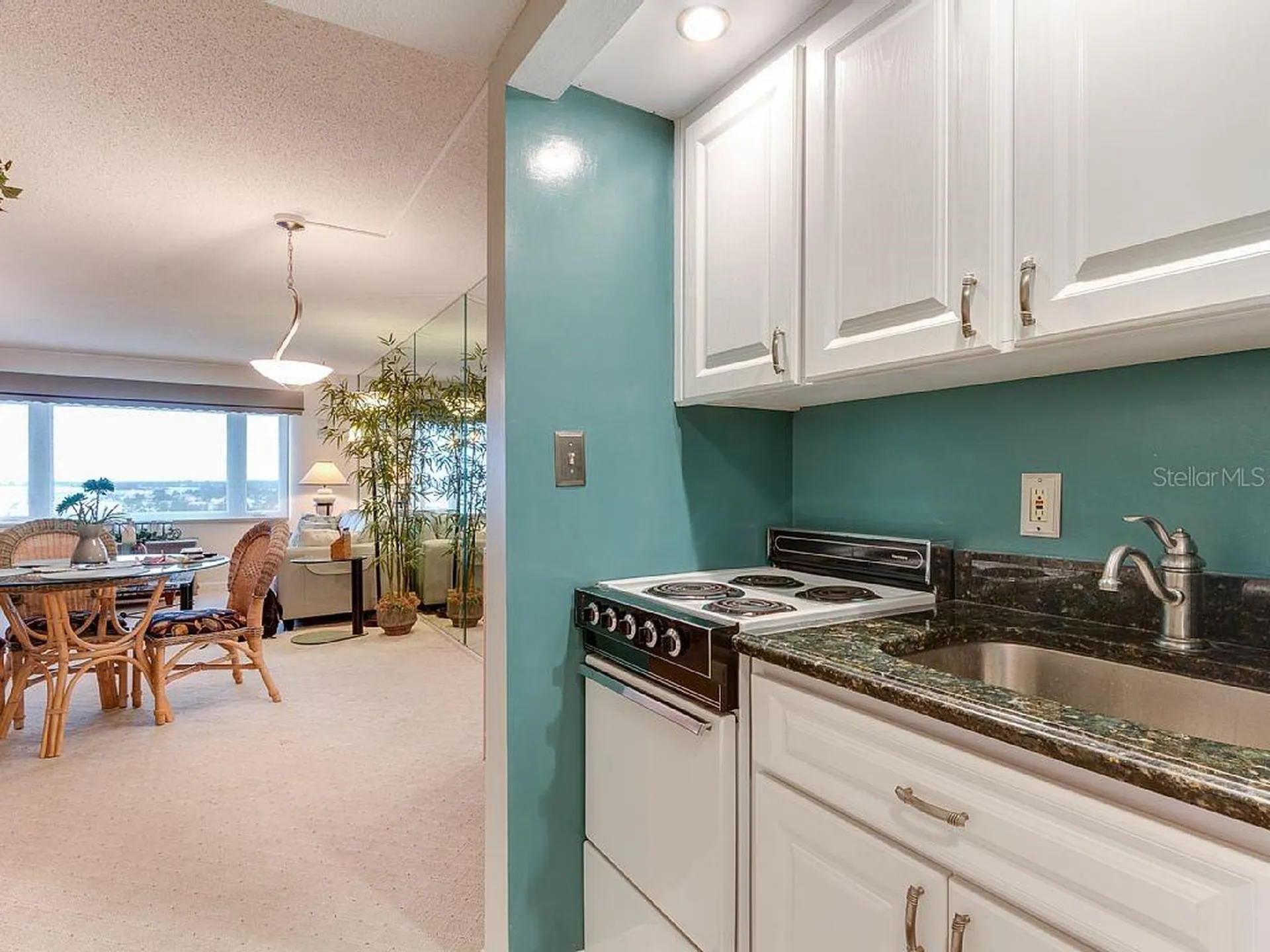 4725 Cove Circle St Petersburg FL 33708