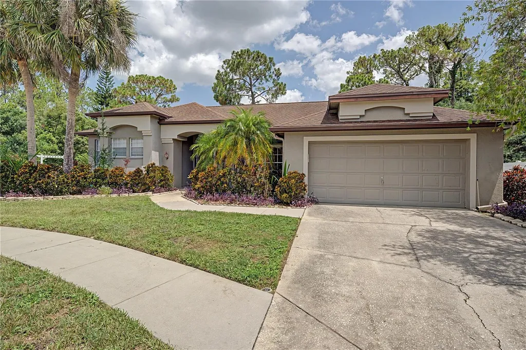 7201 Forestedge Court New Port Richey FL 34655