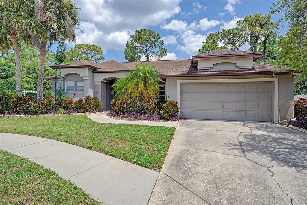 7201 Forestedge Court New Port Richey FL 34655