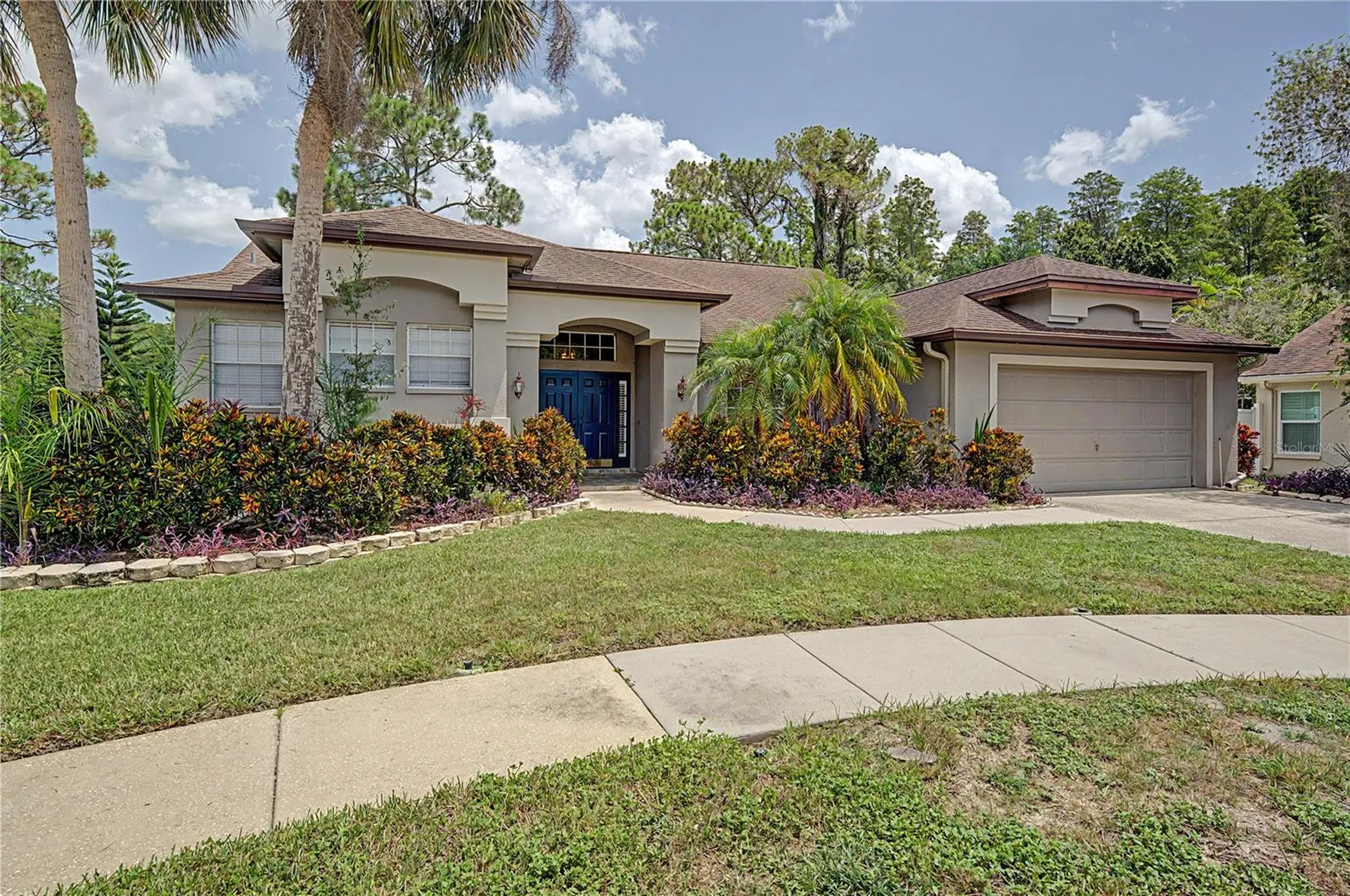 7201 Forestedge Court New Port Richey FL 34655