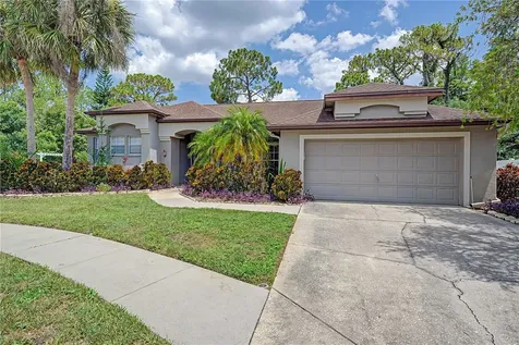7201 Forestedge Court New Port Richey FL 34655