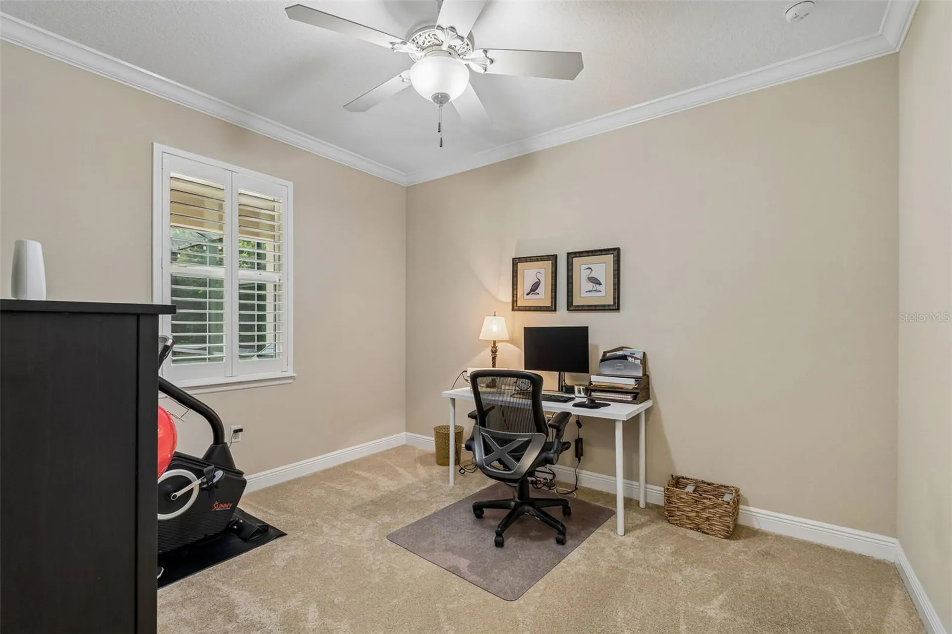 1804 Bella Casa Court Tampa FL 33618