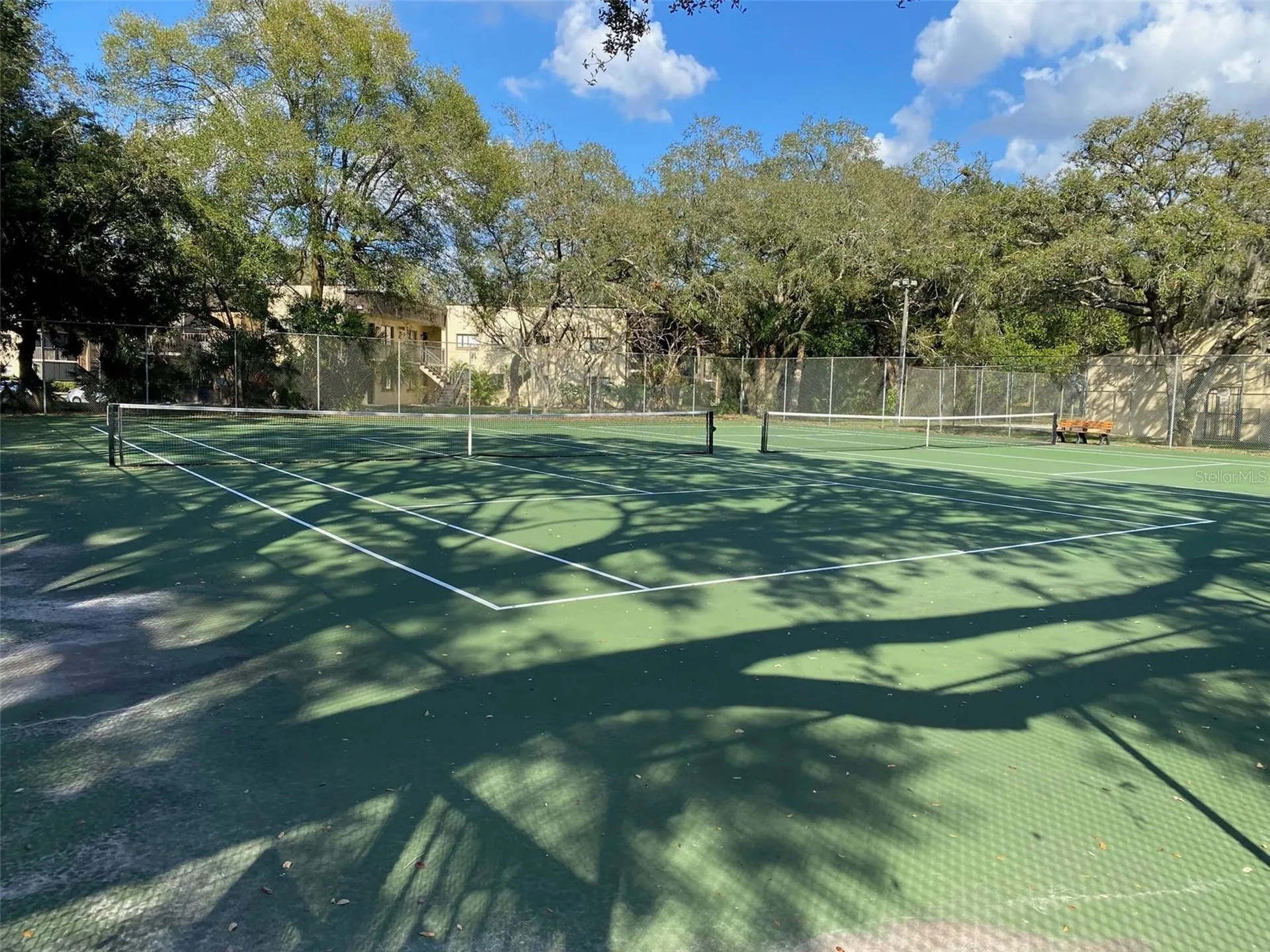 11720 Raintree Lake Lane Tampa FL 33617