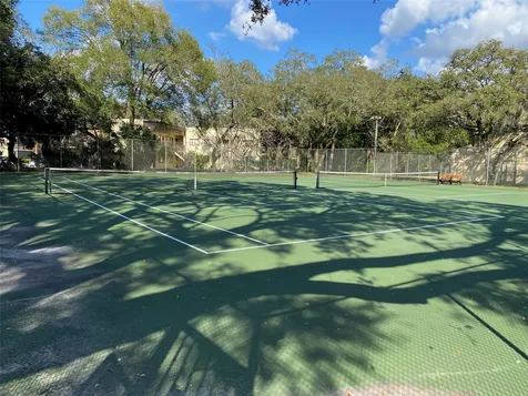 11720 Raintree Lake Lane Tampa FL 33617