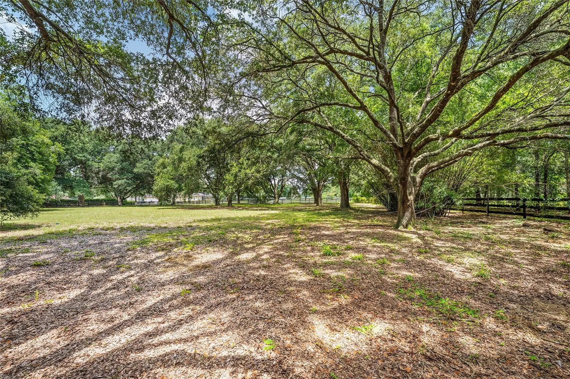 6968 SW 99th Street Ocala FL 34476